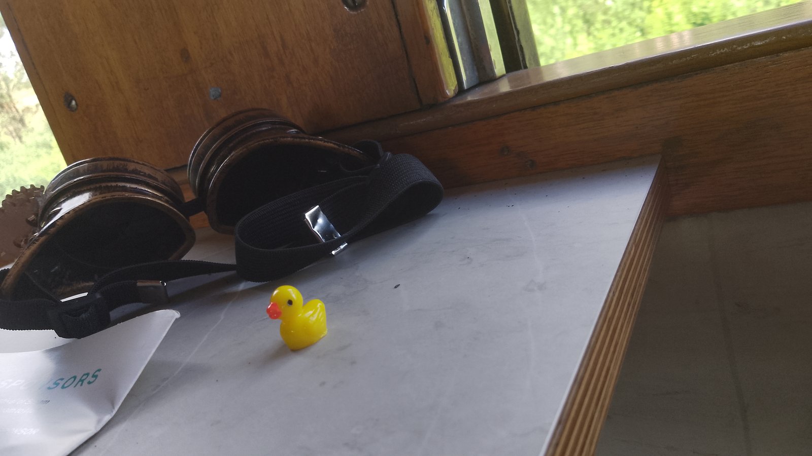 Duck on a train