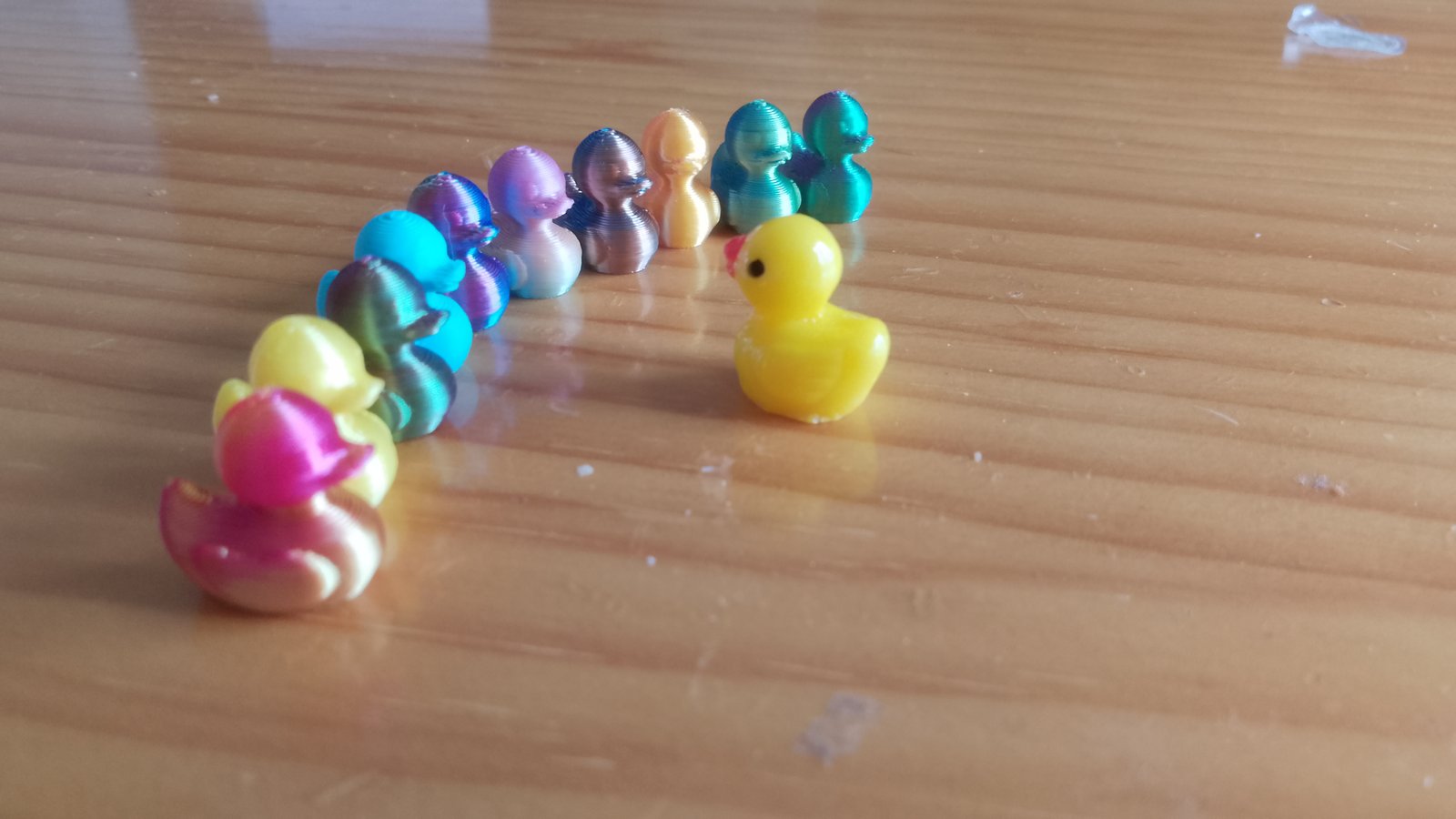 Ducks having a meeting